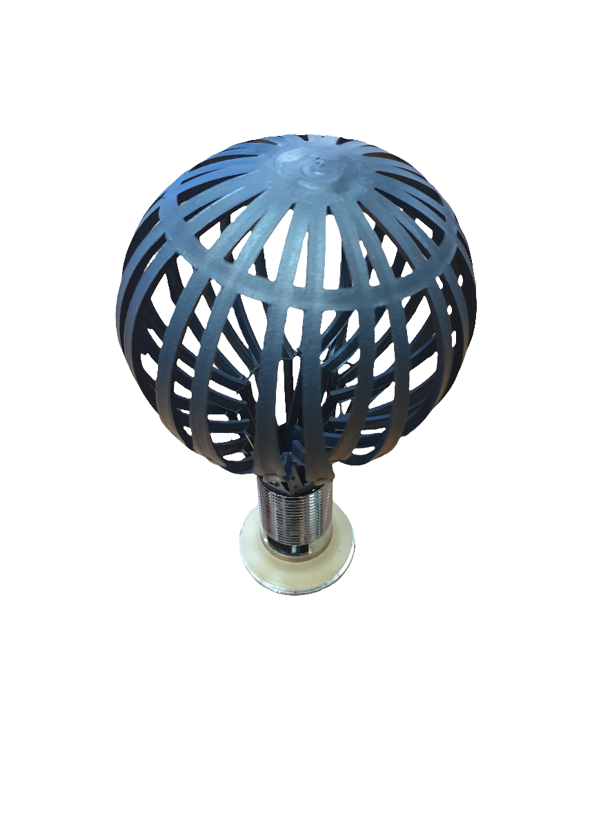 اخطبوت ايطالي