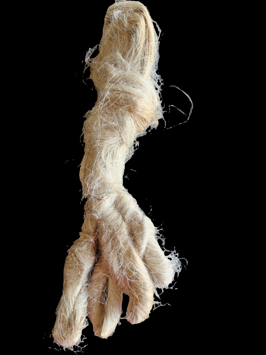 شلة كتيت 1/4 وقية